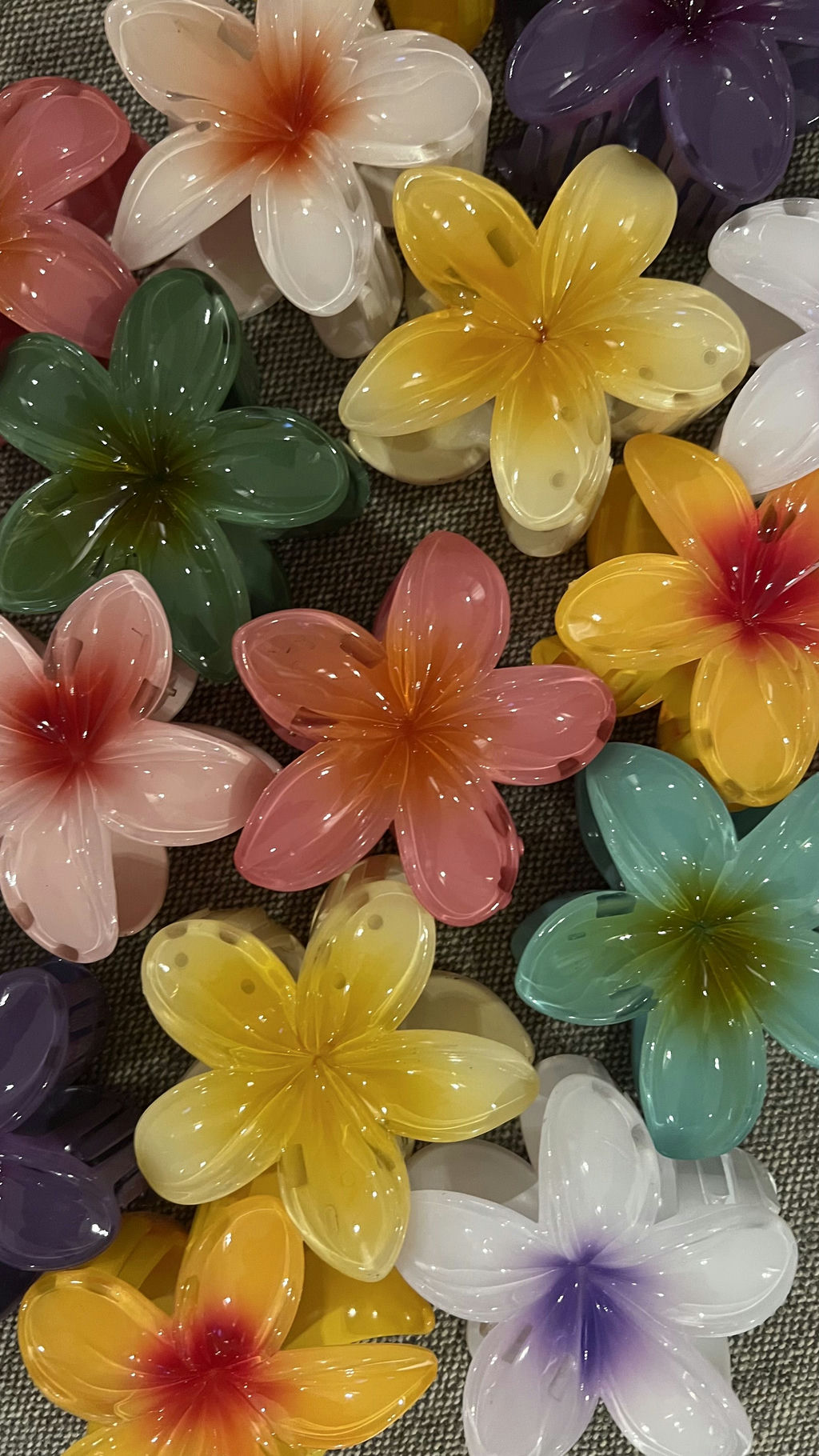 Hawaii Toka